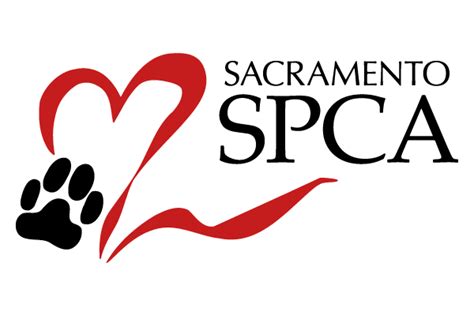 You can see the full list of. . Sacramento aspca